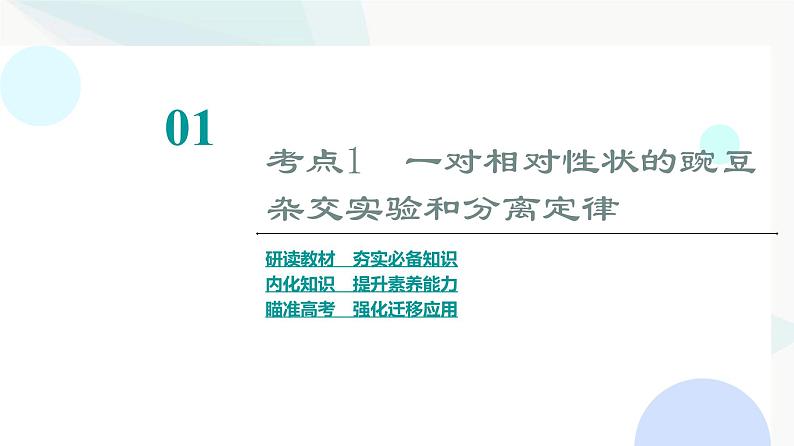 2024届苏教版高考生物一轮复习分离定律课件第3页