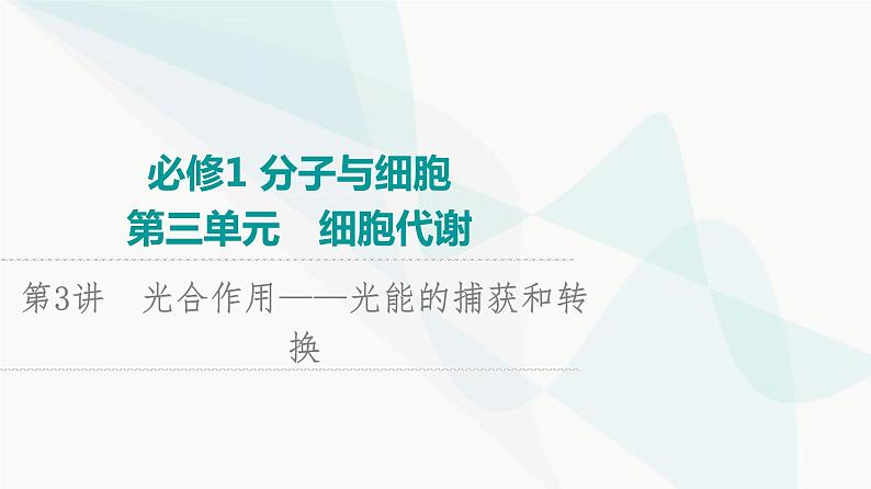 2024届苏教版高考生物一轮复习光合作用——光能的捕获和转换课件01