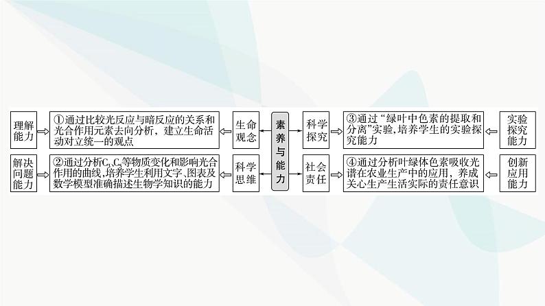 2024届苏教版高考生物一轮复习光合作用——光能的捕获和转换课件02