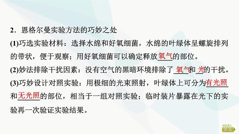 2024届苏教版高考生物一轮复习光合作用——光能的捕获和转换课件05