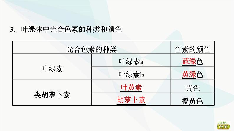 2024届苏教版高考生物一轮复习光合作用——光能的捕获和转换课件06