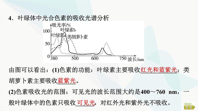 2024届苏教版高考生物一轮复习光合作用——光能的捕获和转换课件07