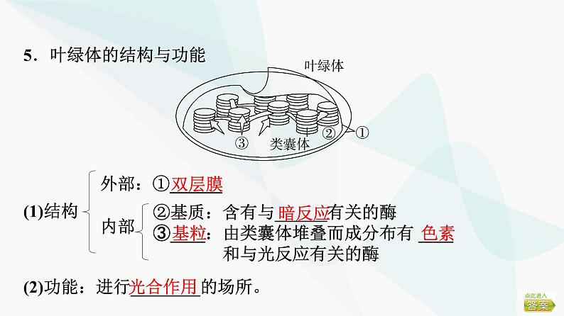 2024届苏教版高考生物一轮复习光合作用——光能的捕获和转换课件08