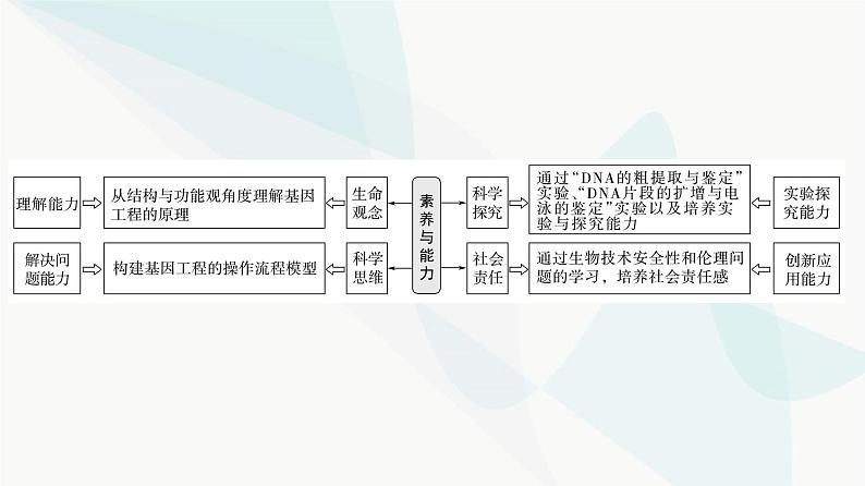 2024届苏教版高考生物一轮复习基因工程及生物技术安全与伦理问题课件第2页