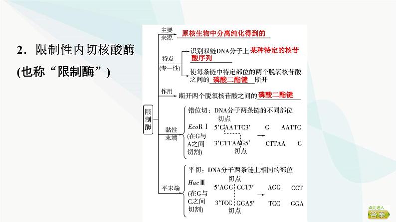 2024届苏教版高考生物一轮复习基因工程及生物技术安全与伦理问题课件第5页