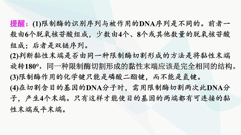 2024届苏教版高考生物一轮复习基因工程及生物技术安全与伦理问题课件第6页