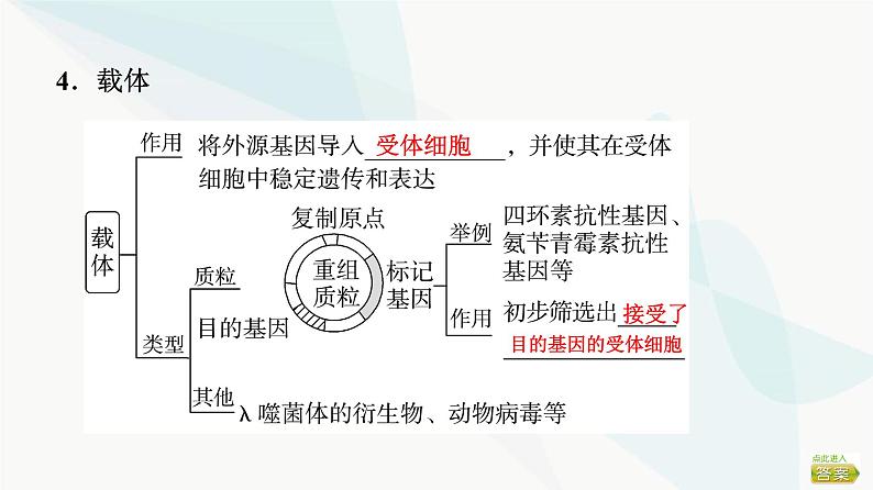 2024届苏教版高考生物一轮复习基因工程及生物技术安全与伦理问题课件第8页