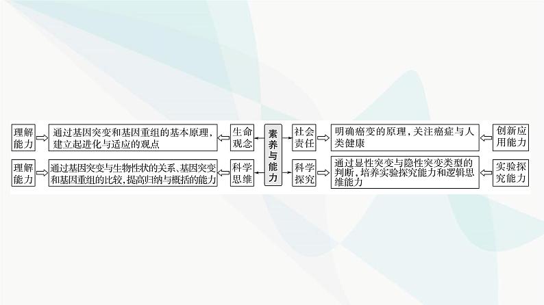 2024届苏教版高考生物一轮复习基因突变和基因重组课件02