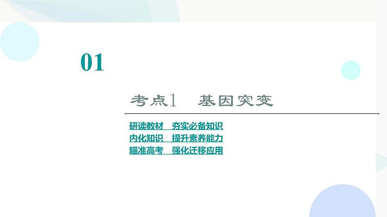 2024届苏教版高考生物一轮复习基因突变和基因重组课件03
