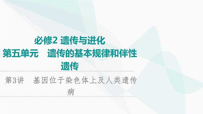 2024届苏教版高考生物一轮复习基因位于染色体上及人类遗传病课件第1页