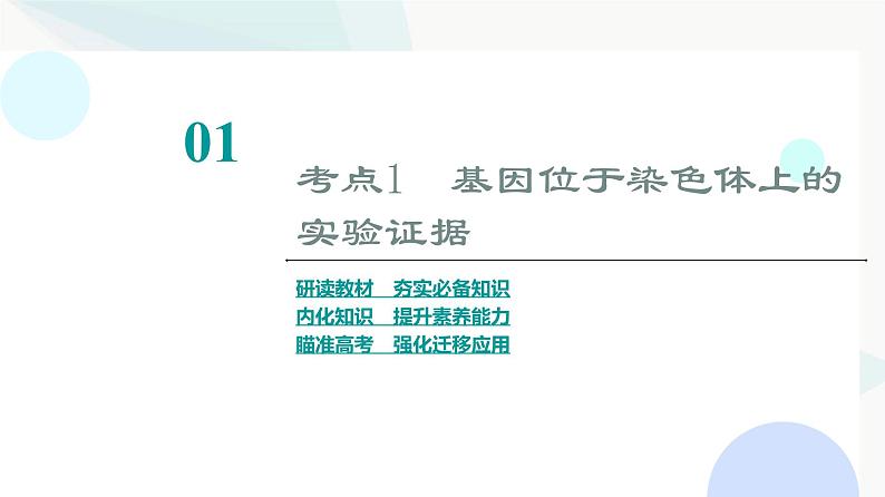 2024届苏教版高考生物一轮复习基因位于染色体上及人类遗传病课件第3页