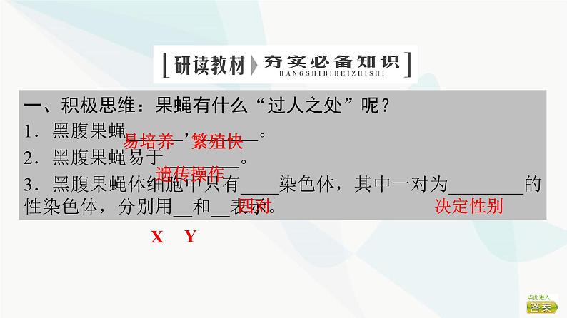 2024届苏教版高考生物一轮复习基因位于染色体上及人类遗传病课件第4页