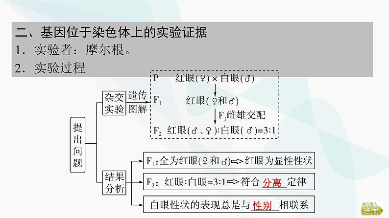 2024届苏教版高考生物一轮复习基因位于染色体上及人类遗传病课件第5页