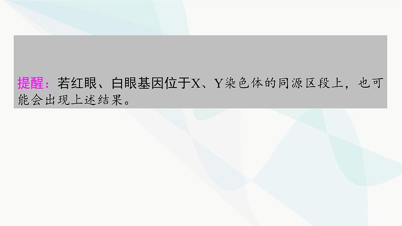 2024届苏教版高考生物一轮复习基因位于染色体上及人类遗传病课件第6页