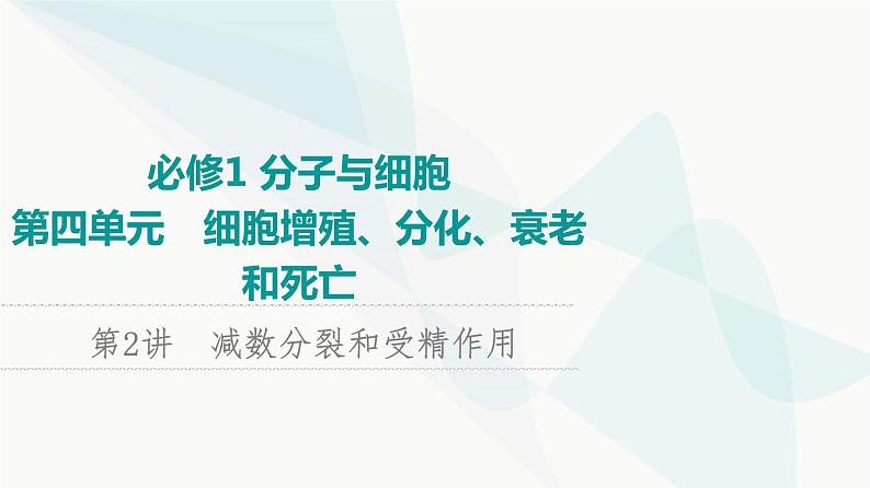 2024届苏教版高考生物一轮复习减数分裂和受精作用课件01