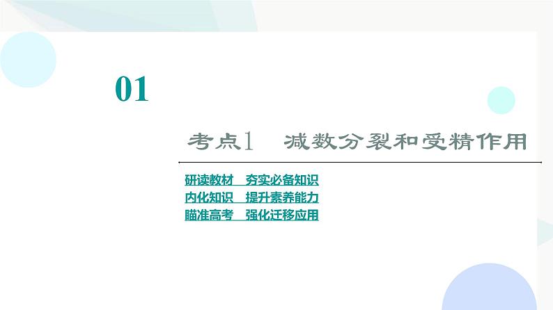 2024届苏教版高考生物一轮复习减数分裂和受精作用课件03