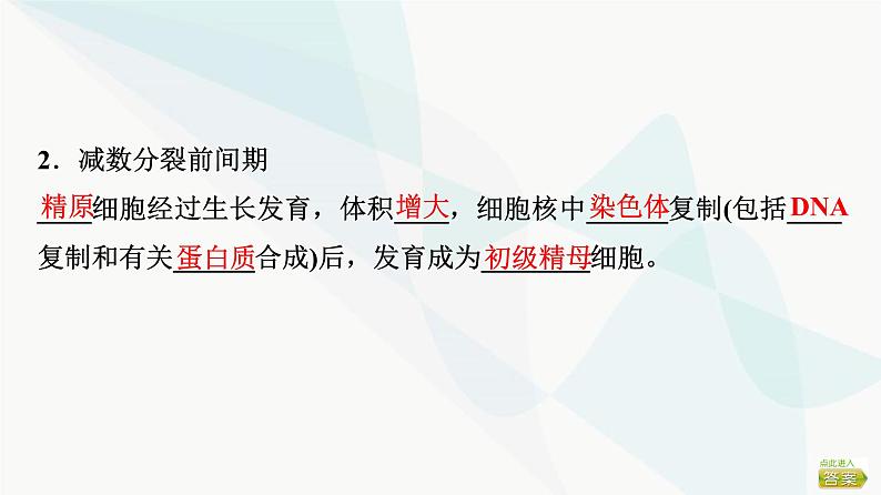 2024届苏教版高考生物一轮复习减数分裂和受精作用课件05