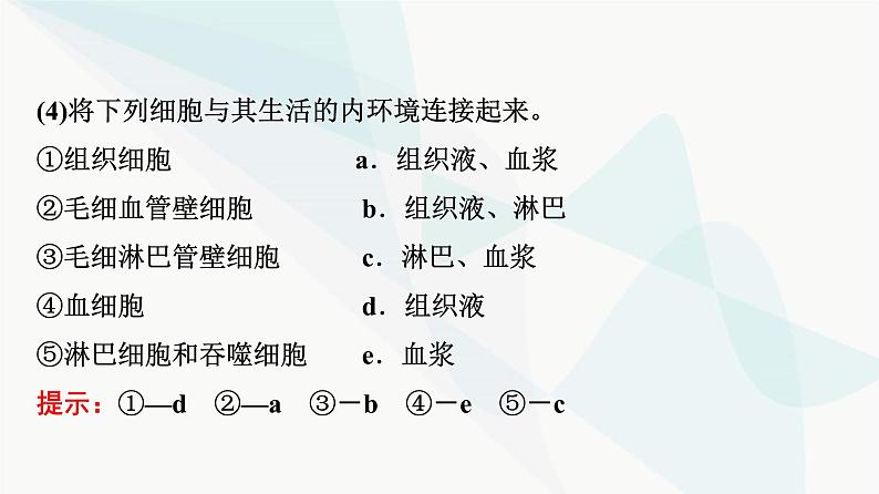 2024届苏教版高考生物一轮复习内环境的稳态课件06