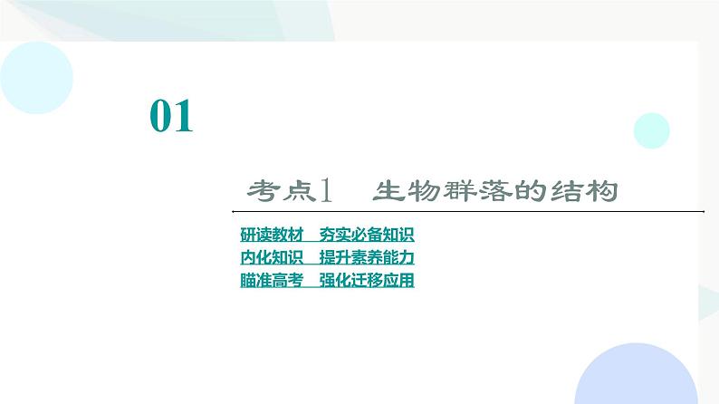 2024届苏教版高考生物一轮复习群落课件03