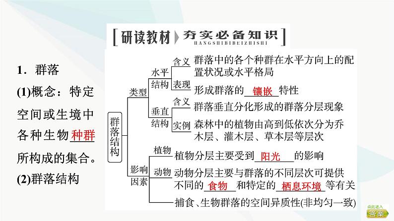 2024届苏教版高考生物一轮复习群落课件04