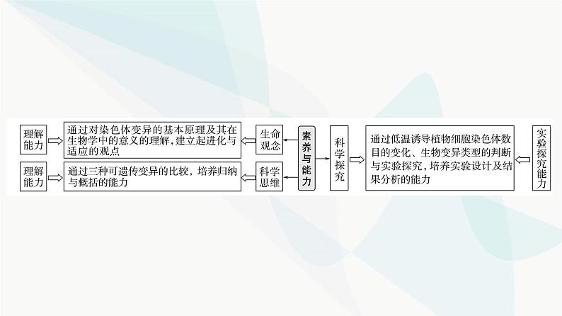 2024届苏教版高考生物一轮复习染色体变异及其应用课件第2页