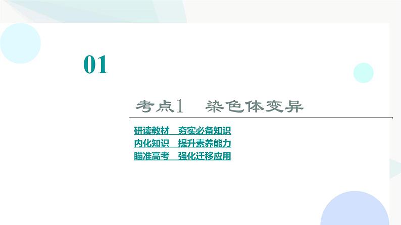 2024届苏教版高考生物一轮复习染色体变异及其应用课件第3页