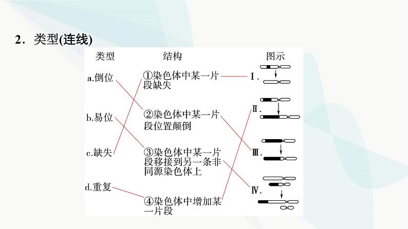 2024届苏教版高考生物一轮复习染色体变异及其应用课件第5页