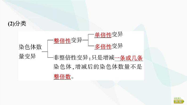 2024届苏教版高考生物一轮复习染色体变异及其应用课件第8页