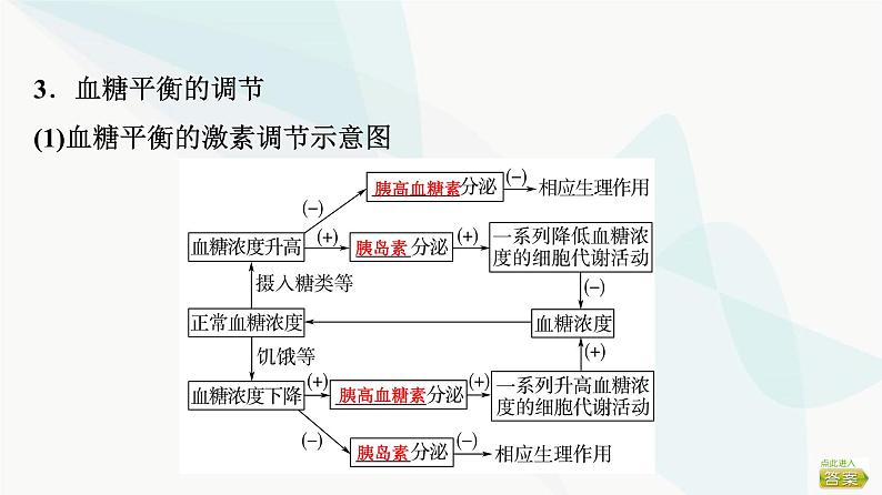 2024届苏教版高考生物一轮复习人体内环境与稳态的调节实例课件06