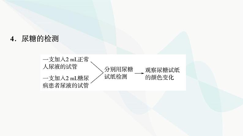 2024届苏教版高考生物一轮复习人体内环境与稳态的调节实例课件08