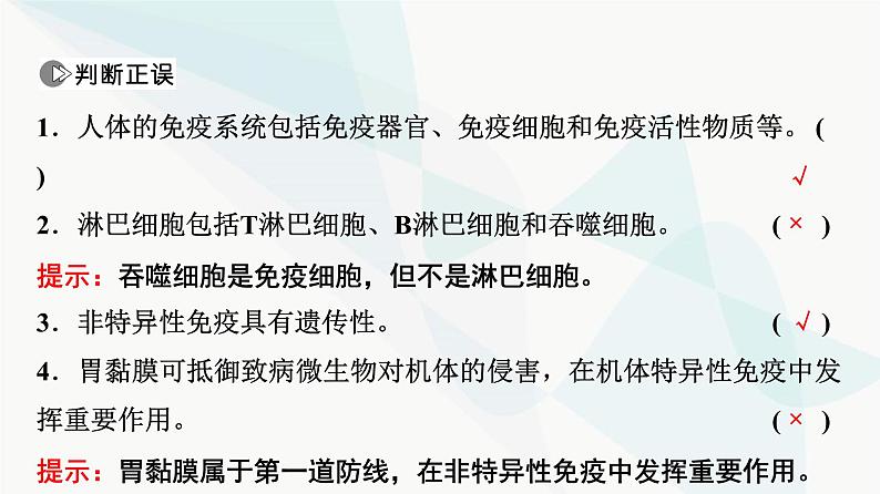 2024届苏教版高考生物一轮复习人体的免疫调节与稳态课件第8页