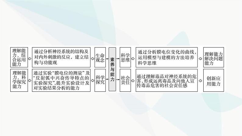 2024届苏教版高考生物一轮复习神经调节(2)课件第2页