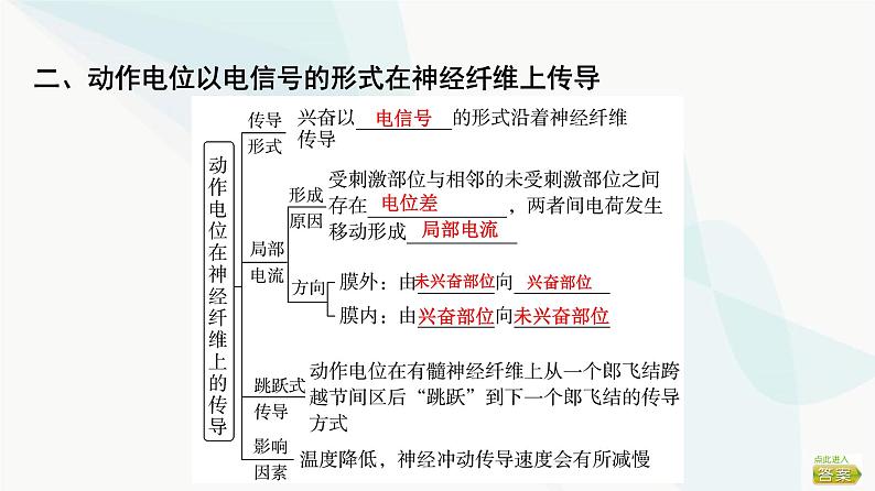 2024届苏教版高考生物一轮复习神经调节(2)课件第8页