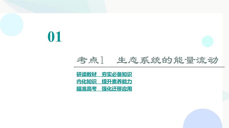 2024届苏教版高考生物一轮复习生态系统的功能课件第3页