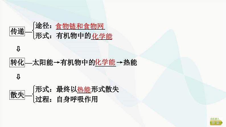 2024届苏教版高考生物一轮复习生态系统的功能课件第5页