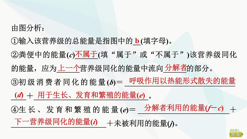 2024届苏教版高考生物一轮复习生态系统的功能课件第7页