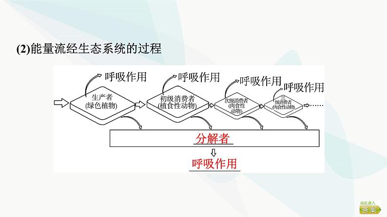 2024届苏教版高考生物一轮复习生态系统的功能课件第8页