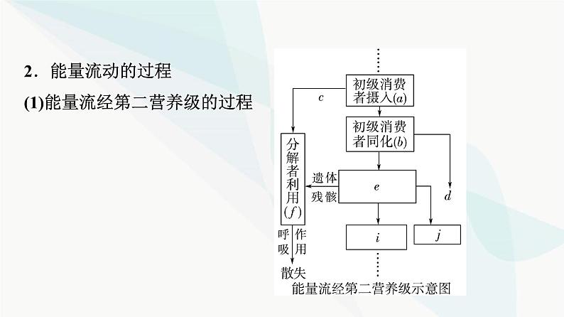 2024届苏教版高考生物一轮复习生态系统的功能课件第6页