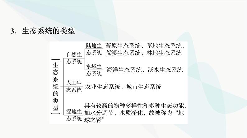 2024届苏教版高考生物一轮复习生态系统的结构及其稳定性课件第8页