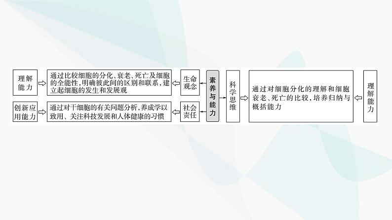 2024届苏教版高考生物一轮复习细胞分化、衰老和死亡课件第2页