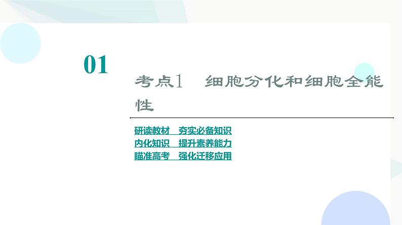 2024届苏教版高考生物一轮复习细胞分化、衰老和死亡课件第3页