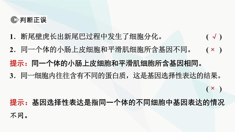 2024届苏教版高考生物一轮复习细胞分化、衰老和死亡课件第7页