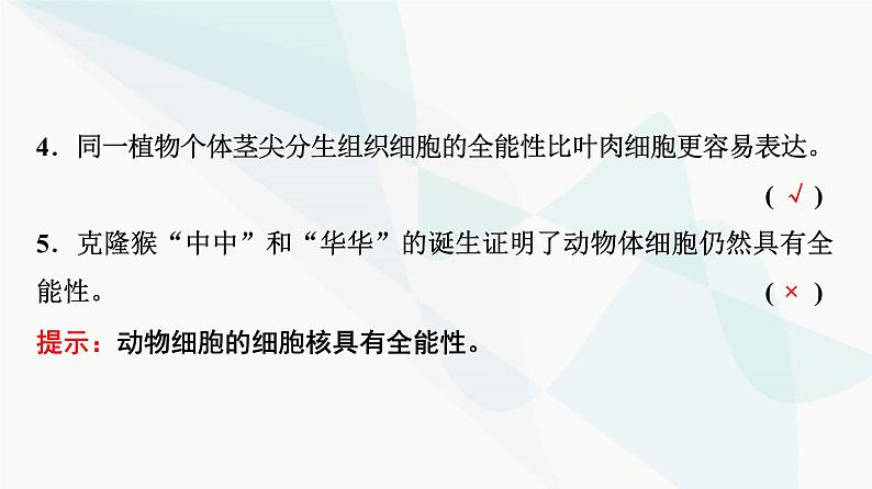 2024届苏教版高考生物一轮复习细胞分化、衰老和死亡课件第8页