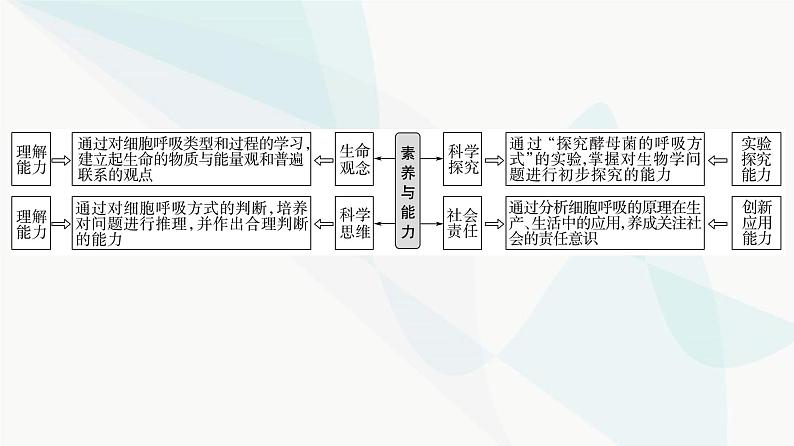 2024届苏教版高考生物一轮复习细胞呼吸——能量的转化和利用课件02