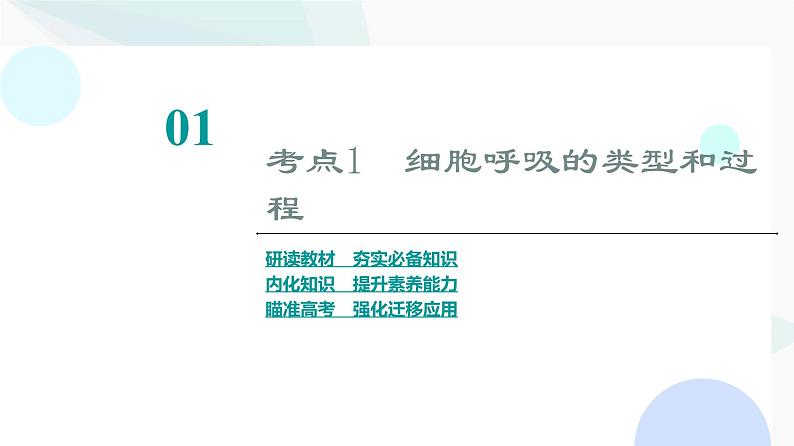 2024届苏教版高考生物一轮复习细胞呼吸——能量的转化和利用课件03