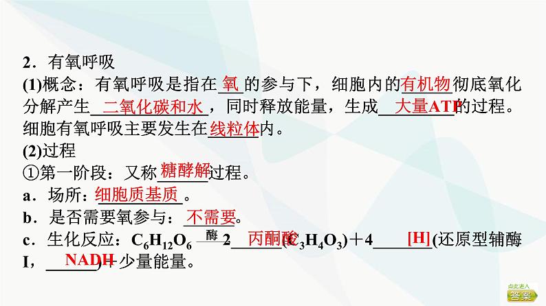 2024届苏教版高考生物一轮复习细胞呼吸——能量的转化和利用课件05