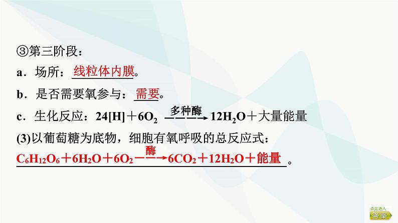 2024届苏教版高考生物一轮复习细胞呼吸——能量的转化和利用课件07