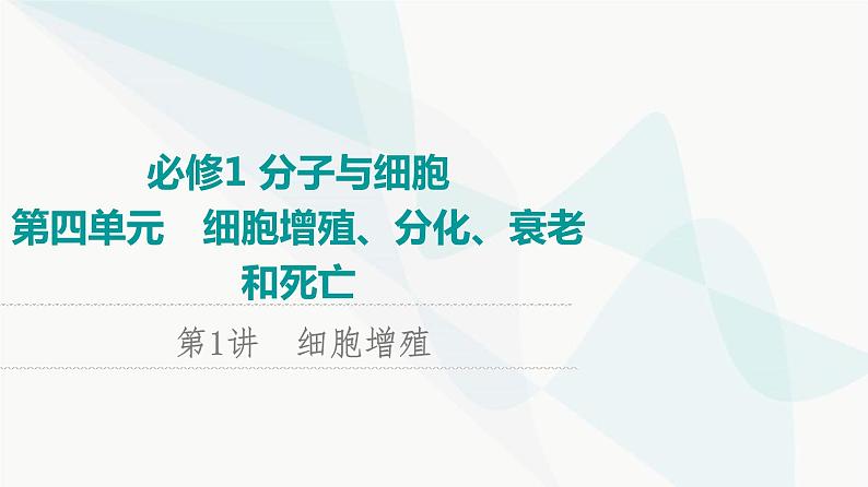 2024届苏教版高考生物一轮复习细胞增殖课件01