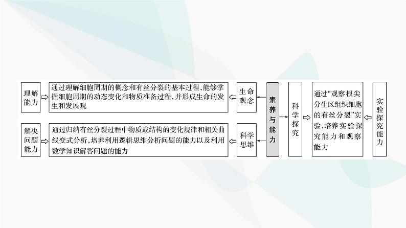 2024届苏教版高考生物一轮复习细胞增殖课件02