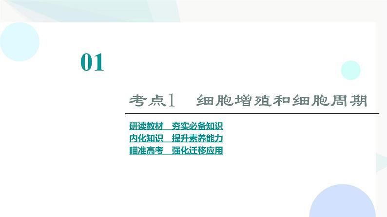 2024届苏教版高考生物一轮复习细胞增殖课件03